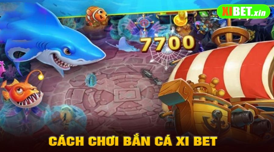 Hướng Dẫn Cách Chơi Bắn Cá Xi Bet Cho Người Mới