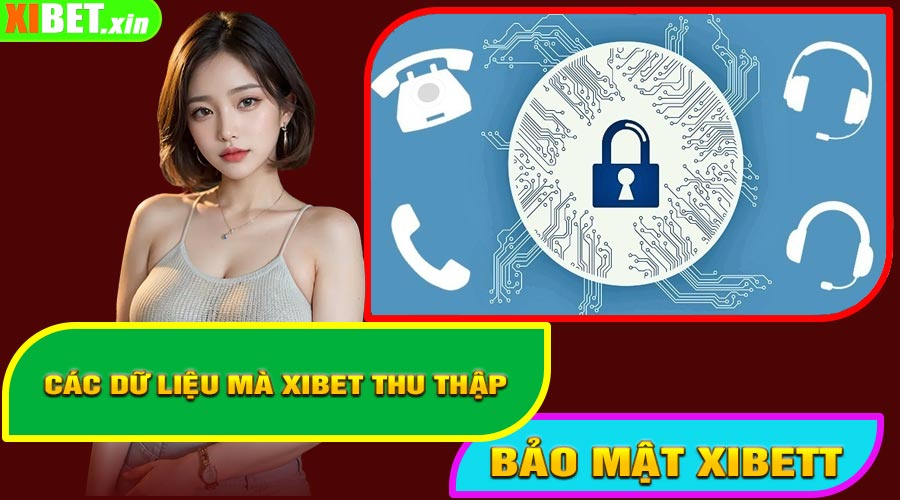 Các Dữ Liệu Mà XIBET Thu Thập