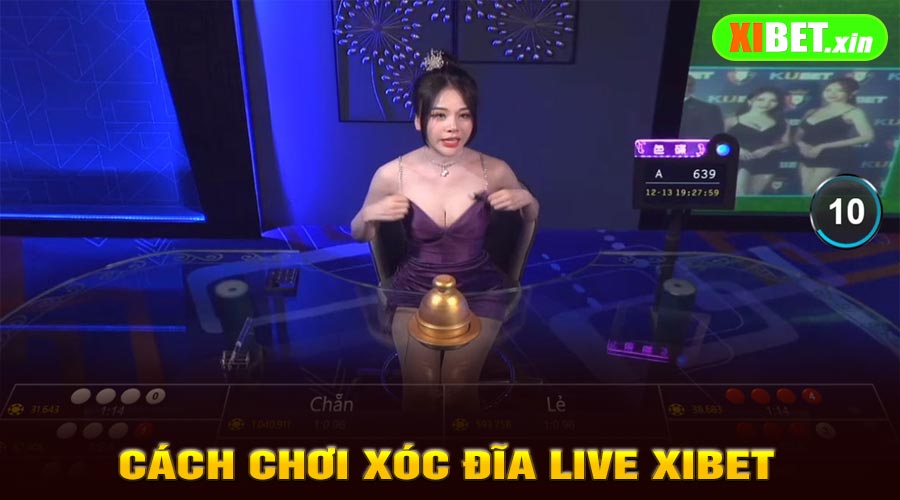 Hướng Dẫn Cách Chơi Xóc Đĩa Live XiBet