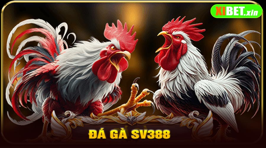 Đá Gà SV388
