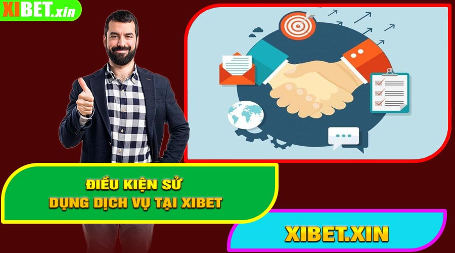 Điều Kiện Sử Dụng Dịch Vụ Tại XIBET