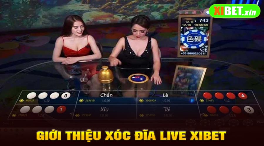 Giới Thiệu Xóc Đĩa Live XiBet