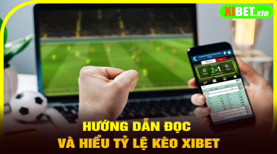 Hướng dẫn đọc và hiểu tỷ lệ kèo XiBet