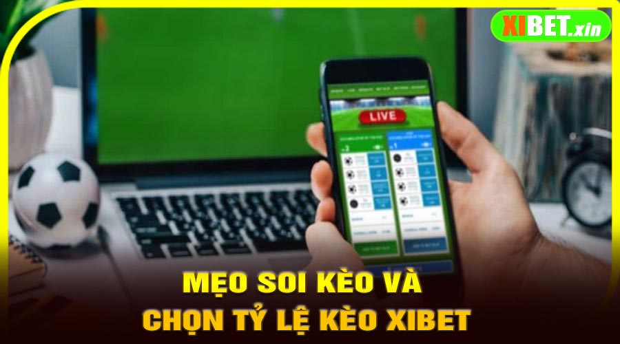 Mẹo soi kèo và chọn tỷ lệ kèo XiBet