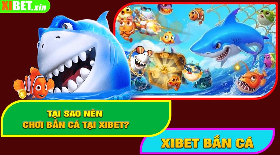 Tại Sao Nên Chơi Bắn Cá Tại XiBet?
