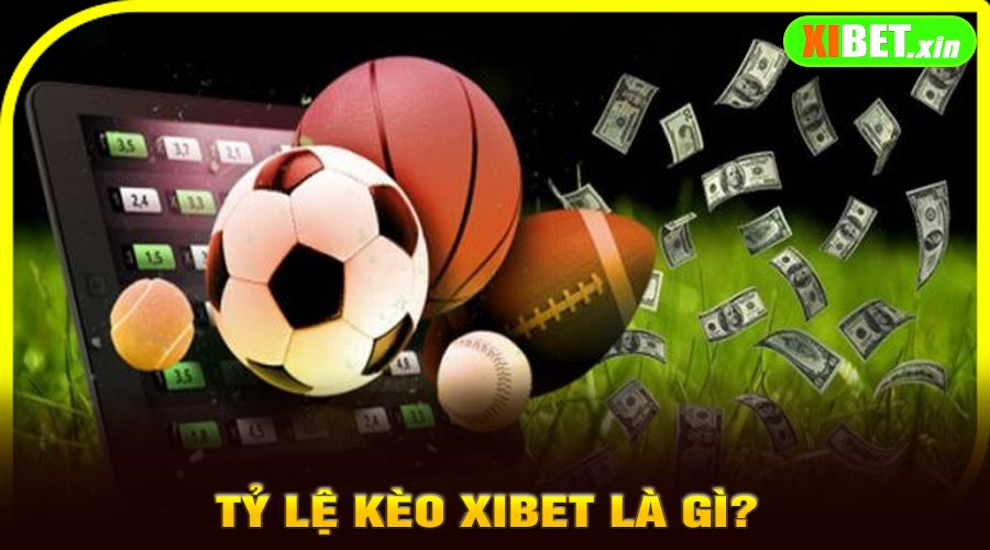 Tỷ Lệ Kèo XiBet là gì?