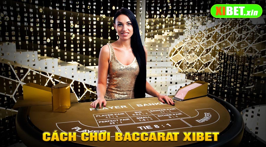Hướng dẫn cách chơi baccarat XiBet cho người mới